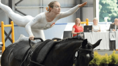 What is the history of equestrian vaulting?