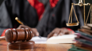 The Extraordinary Role of Appeal Lawyers in Appellate Courts