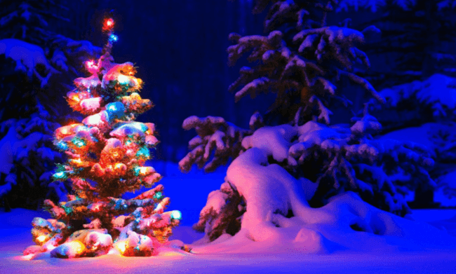 Cute:-9hqgg3mnfm= Christmas Tree Wallpaper