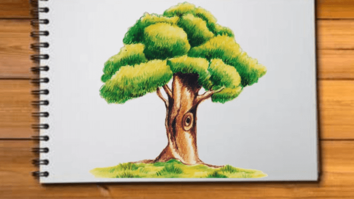 Beautiful:83_Xs8nf260= Tree Drawing