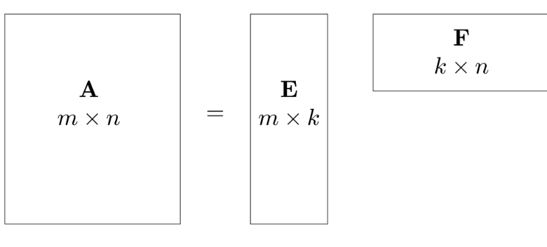 Matrix Rank
