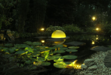 Pond Lighting: Transforming Your Outdoor Water Feature Into a Nighttime Paradise