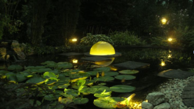 Pond Lighting: Transforming Your Outdoor Water Feature Into a Nighttime Paradise