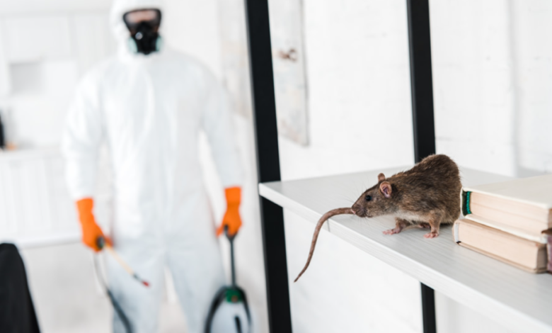 Why Choose a Family-Owned Pest Control Service in Chelmsford?