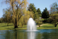 Are Decorative Pond Fountains Worth the Investment?