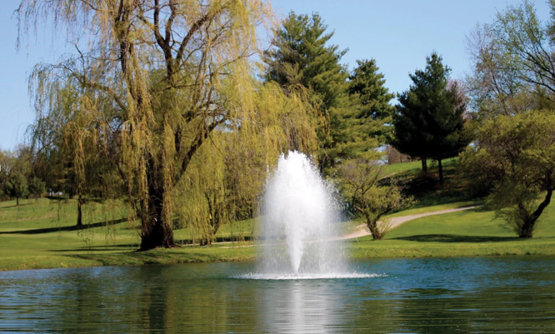 Are Decorative Pond Fountains Worth the Investment?
