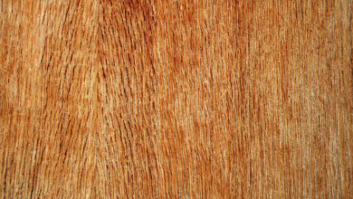 Why Is Marine Plywood Essential for Long-Lasting Outdoor Builds?