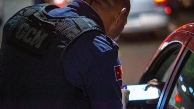 digital authority growth guide insights