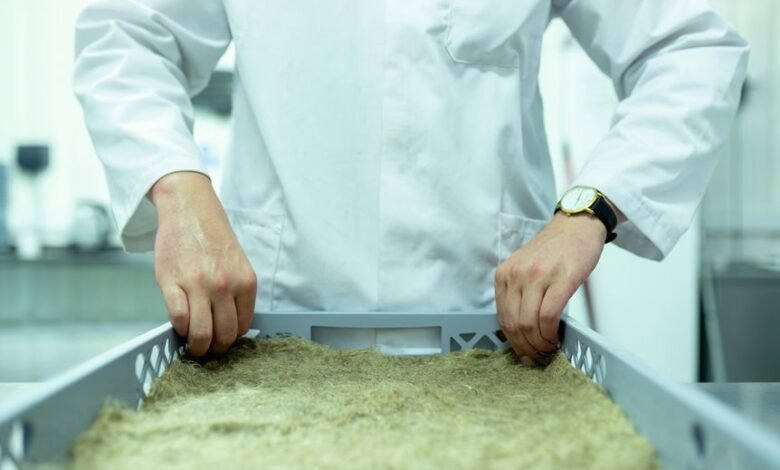 future innovation development focus