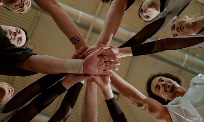 nova arc synergy analysis