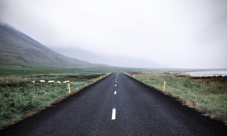 smart expansion marketing guide