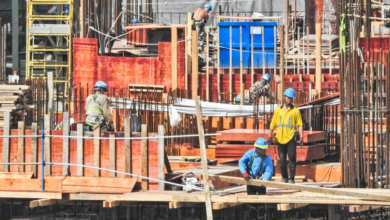 How Established Contractors Help Reduce Project Risk