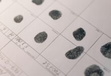 digital data cross check identifiers