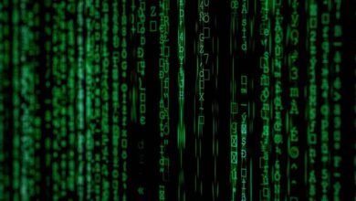 patterned data identifiers with versioned codes
