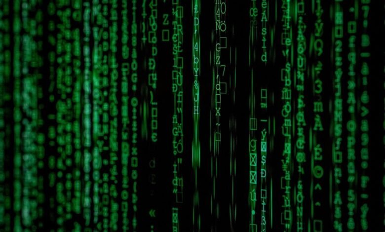 patterned data identifiers with versioned codes