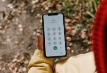 mystery caller complete number insights