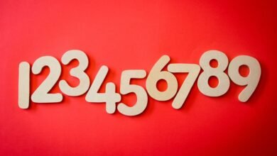 phone numbers list provided