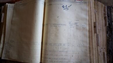 registry numbers listed for reference checks
